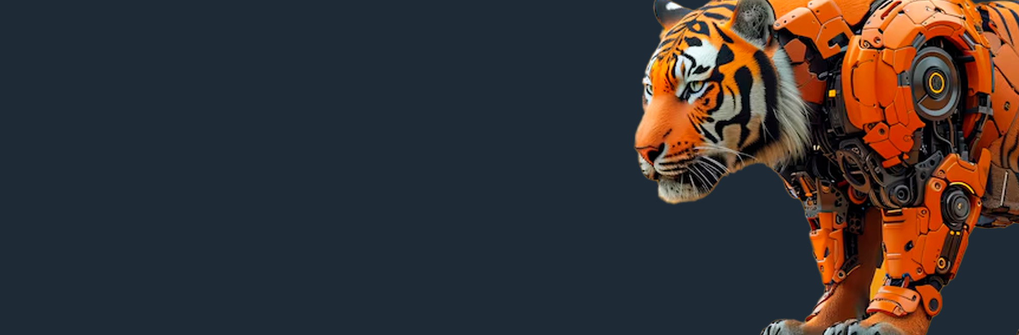 back metryka procesos